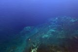 Reefs of Sorong Bay, West Papua
