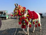 Karachi Jan23 231.jpg
