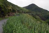 Azores Sep22 447.jpg