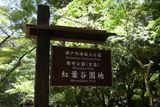 Miyajima Apr23 288.jpg