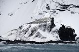 Antarctica Nov24 014.jpg