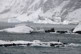Antarctica Nov24 036.jpg
