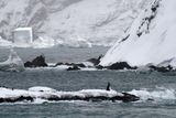 Antarctica Nov24 046.jpg