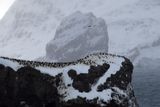 Antarctica Nov24 053.jpg