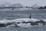 Antarctica Nov24 062.jpg