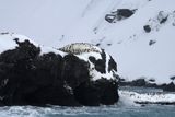 Antarctica Nov24 067.jpg