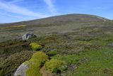 Falklands Nov24 077.jpg