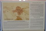 Expedition of Alexander and the Graeco-Bactrian Kingdom