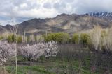 Afghanistan Apr24 0042.jpg