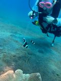 Lembeh Jun25 127.jpg