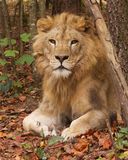 _MG_7850a 8x10kaw.jpg