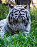 _MG_0589 8x10gbem.jpg
