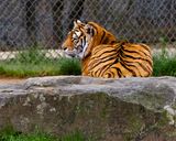 _MG_1212tork 8x10 copy.jpg
