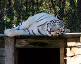 _MG_5308a 8x10gbem.jpg
