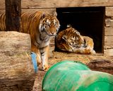 _MG_4492 8x10anndoc.jpg