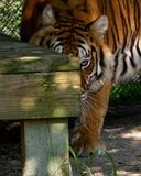 _MG_8122 8x10ame.jpg
