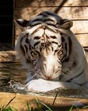 _MG_0313 8x10gbem.jpg