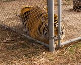 _MG_9314a 8x10ind.jpg