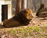 _MG_8817a 8x10fur.jpg