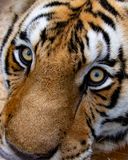 _MG_8750 8x10tow.jpg