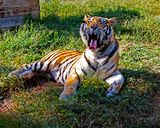 _MG_8558 8x10tork.jpg