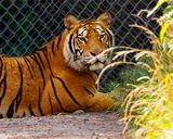 _MG_0195 8x10tork.jpg