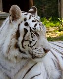 _MG_0218 8x10gbem.jpg