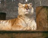 _MG_7076a8x10 rav.jpg