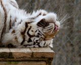 _MG_5943 8x10gbem.jpg