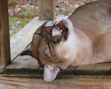 _MG_5081a 8x10dak.jpg