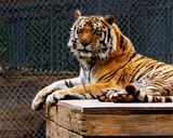 _MG_0050 8x10tow.jpg