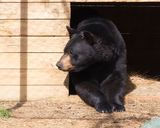 _MG_0725a 8x10pep .jpg