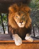 _MG_7640a 8x10mr.jpg
