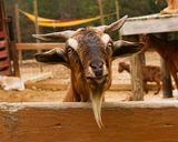 _MG_7914a 8x10linus.jpg