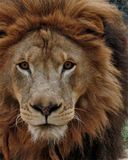 _MG_6265a 8x10mr.jpg