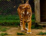 _MG_6256a 8x10shug.jpg