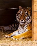 _MG_4649a 8x10gold.jpg