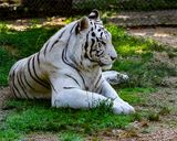 _MG_0214 8x10gbem.jpg