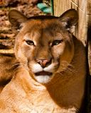 _MG_0147a 8x10lak.jpg