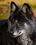 _MG_6056a 8x10valh.jpg