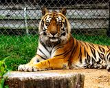 _MG_0255 8x10tow.jpg