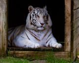 _MG_0022 8x10gbem.jpg