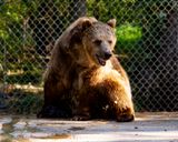 _MG_0603yo8x10 copy.jpg