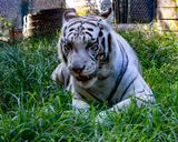 _MG_0593 8x10gbem.jpg