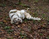 _MG_3234a 8x10gbem.jpg