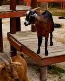 _MG_8828 8x10how.jpg