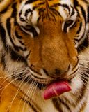 _MG_7369a 8x10tish.jpg