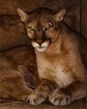_MG_7150a_8x10lak.jpg