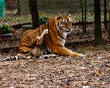 _MG_8908 8x10doc.jpg