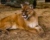 _MG_9024a 8x10nila.jpg